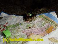 /home//u458753944/public_html/sourcegallery//Roxborough Toad Detour/2013-2019/2017/P4120682.JPG